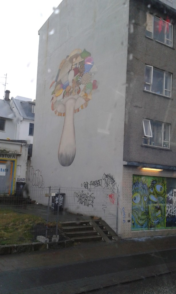 Grafitti de la intrarea în Reykjavik