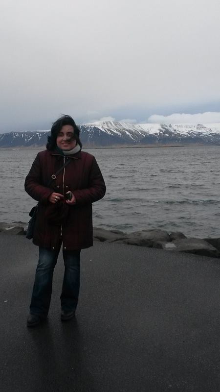 Munții Esja și oceanul