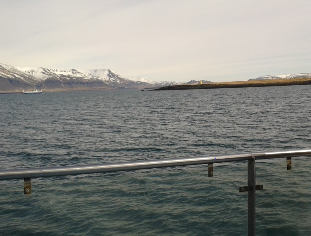 Munții vulcanici (Esja) din Golful Faxafloi și Insula Viðey