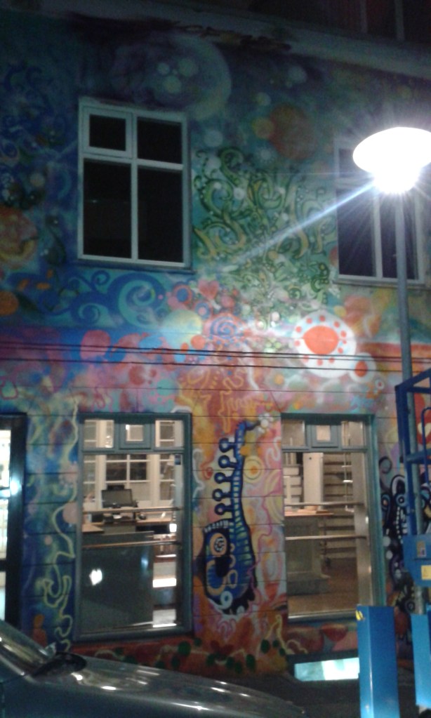 Grafitti psihedelic pe Laugavegur