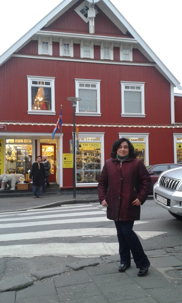 Reykjavik: districtul istoric