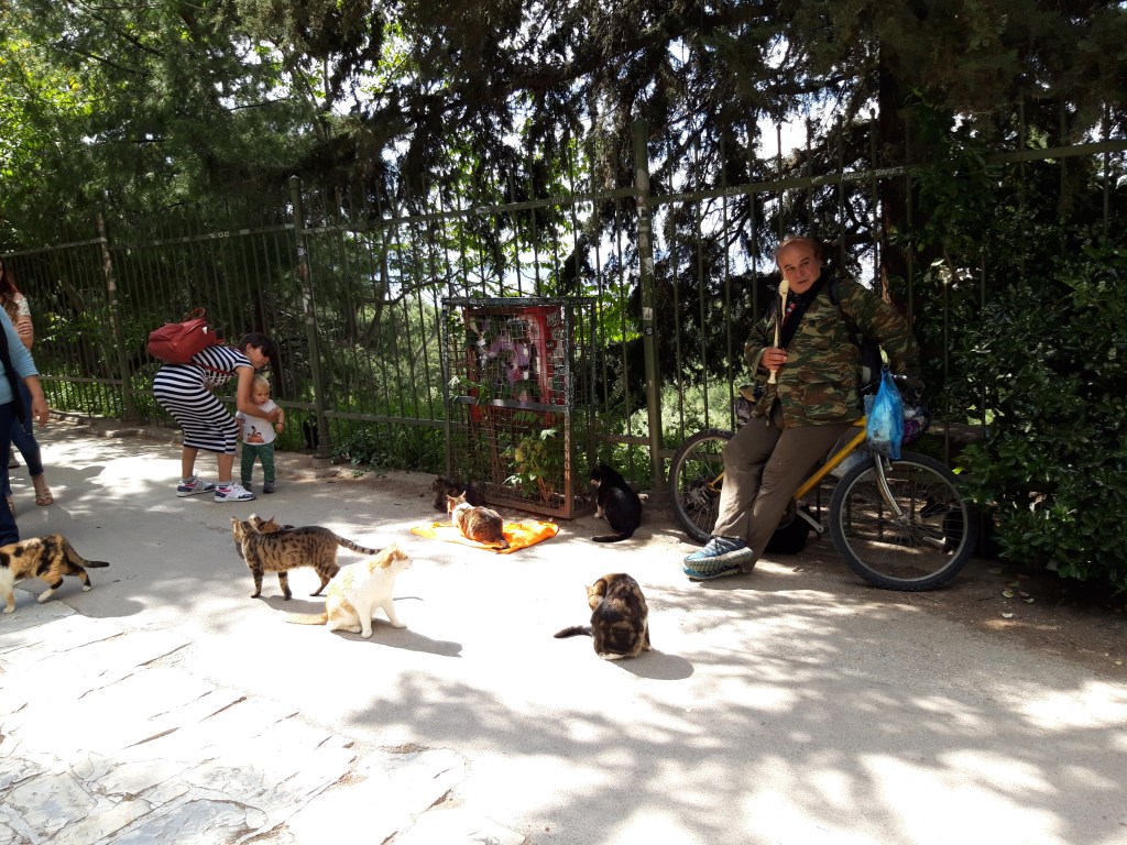 Pisici din Atena